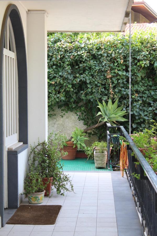 Greenhouse Mascalucia Extérieur photo